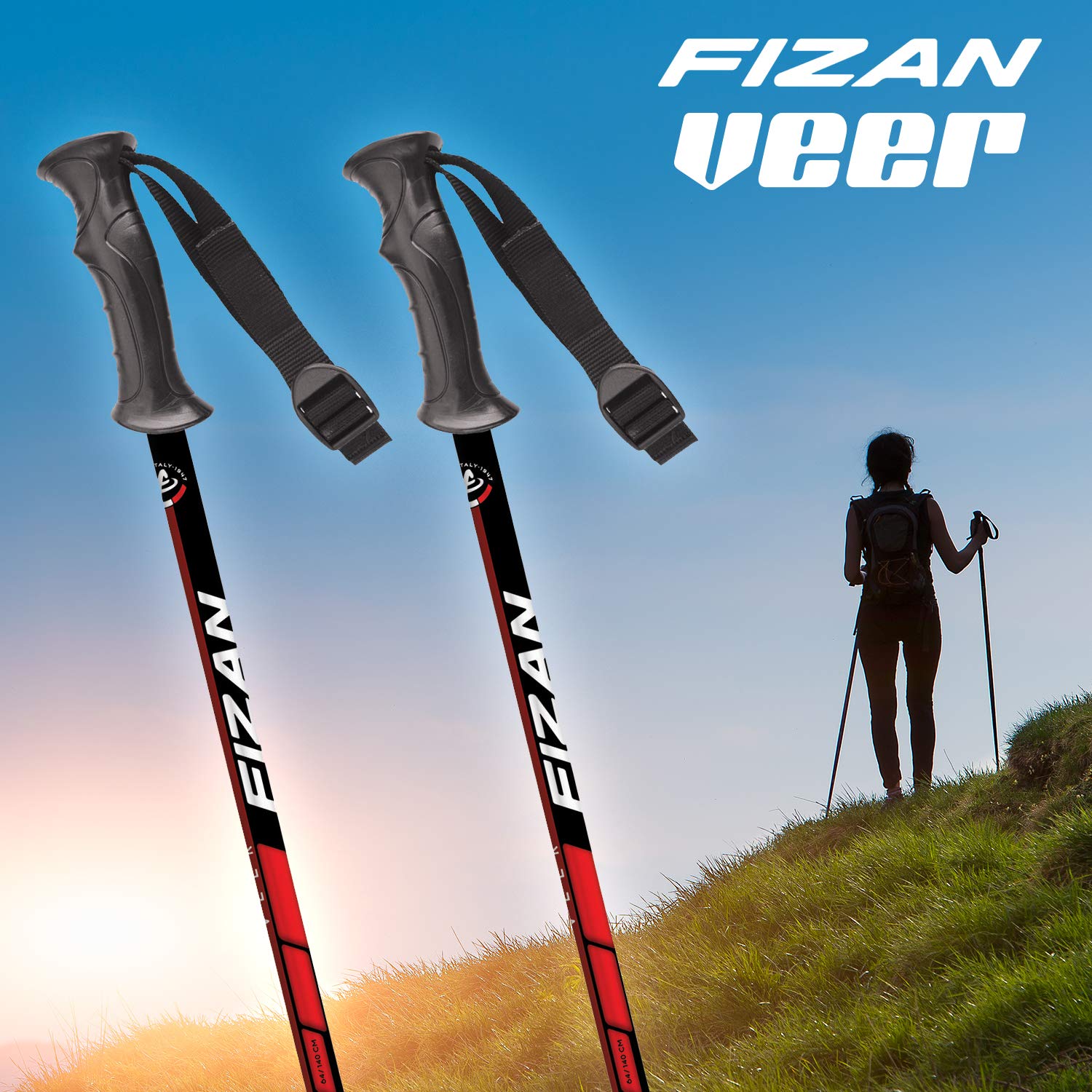 FIZAN Modello Explorer