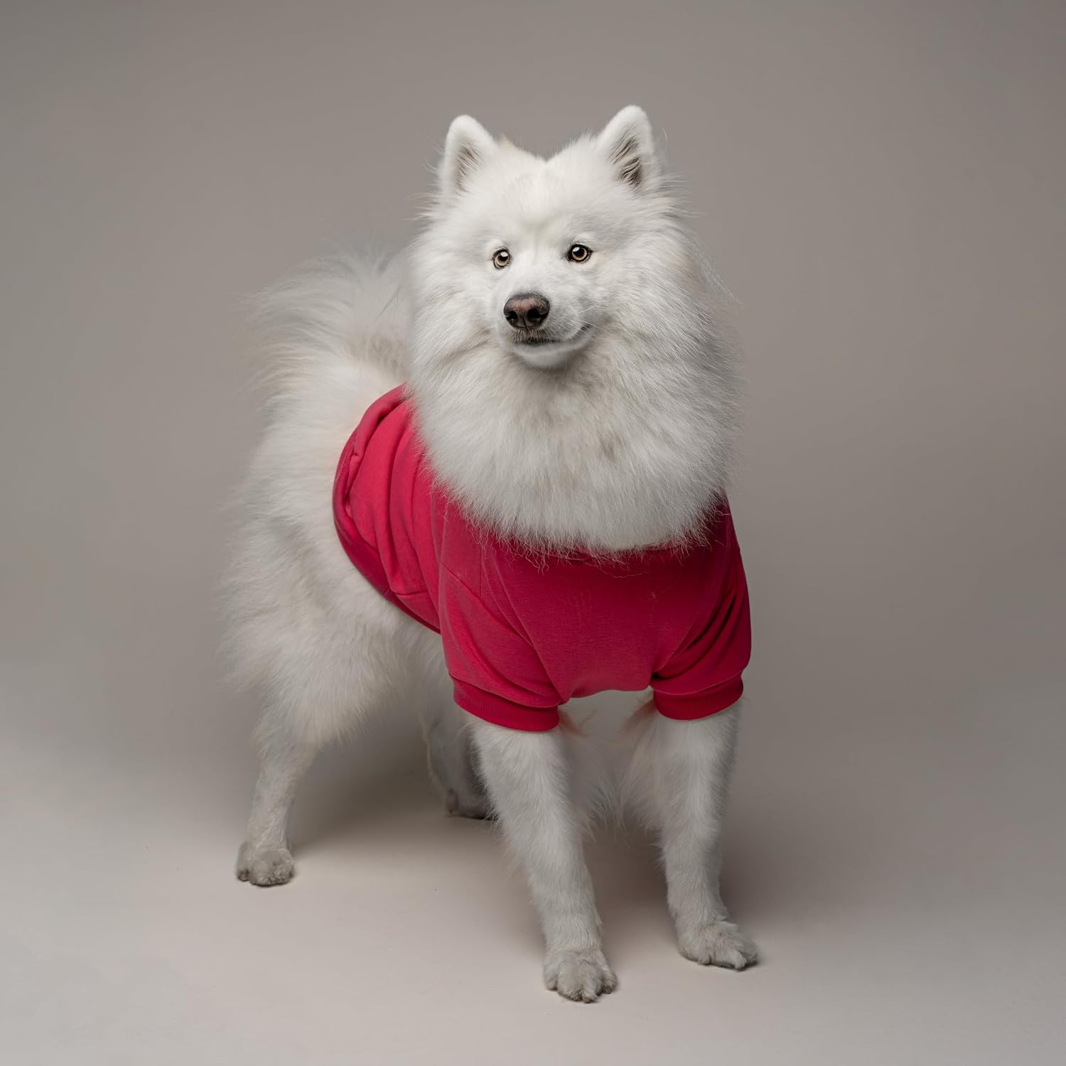 Proud Pup of The Graduate Dog Hoodie | Fleece Lined | Leash Hole| Graduation Prop | Class of 2025 2026 2027 2028 |Hot Pink, 2X-Large (737)