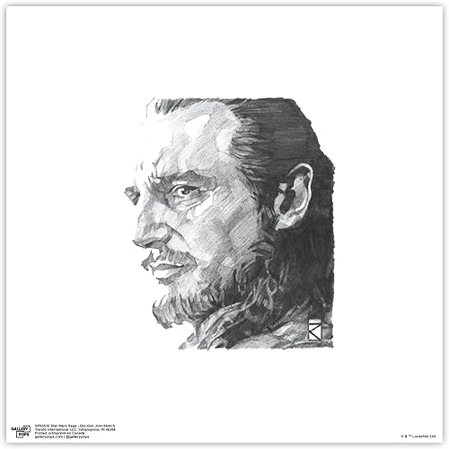 Trends International Gallery Pops Star Wars Saga - Qui-Gon Jinn Sketch Arte de pared, versión sin marco, 12 x 12 pulgadas