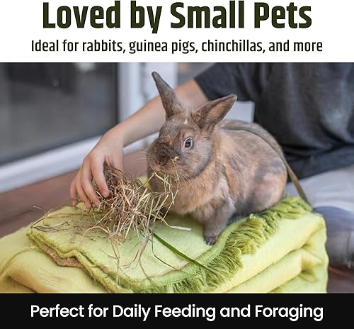 Miniatura 4 de High Desert Heno de hierba Timothy de segundo corte para conejos, cobayas, chinchillas y mascotas pequeñas, heno natural empaquetado a mano de alta