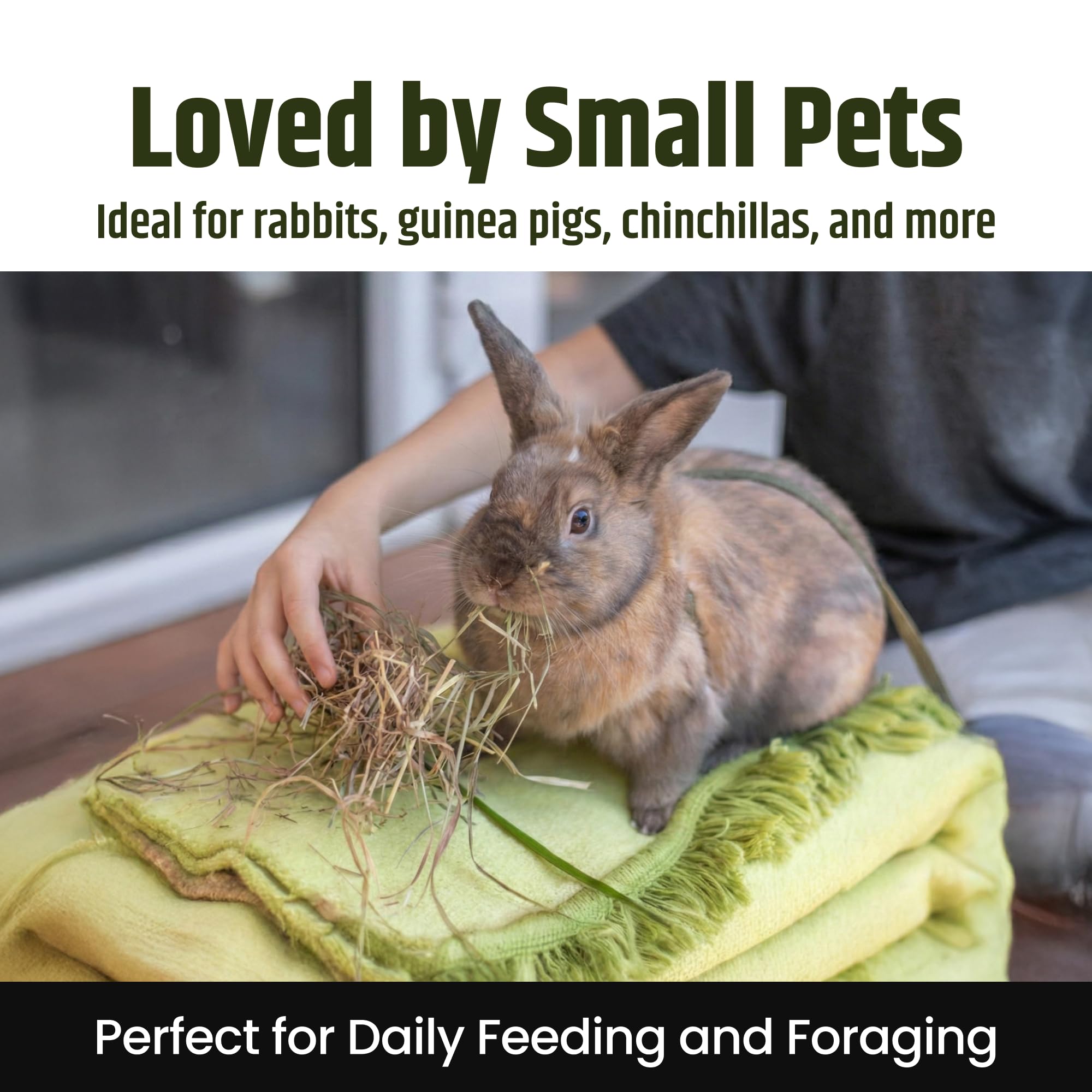 High Desert 1st Cut Timothy Hay for Rabbits, Guinea Pigs, and Small Pets, Premium Grass Hay for Daily Feeding and Digestive Health, Natural Rabbit Food and Guinea Pig Food, Small Pet Supplies, 4 lb - image 4