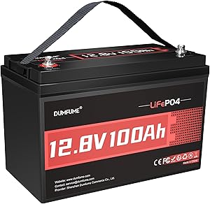 dumfume 12V 100Ah LiFePO4 Lithium Battery