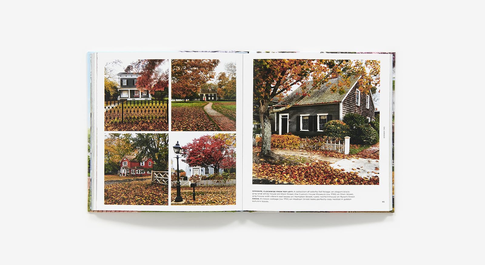 Walk With Me: Hamptons : Photographs