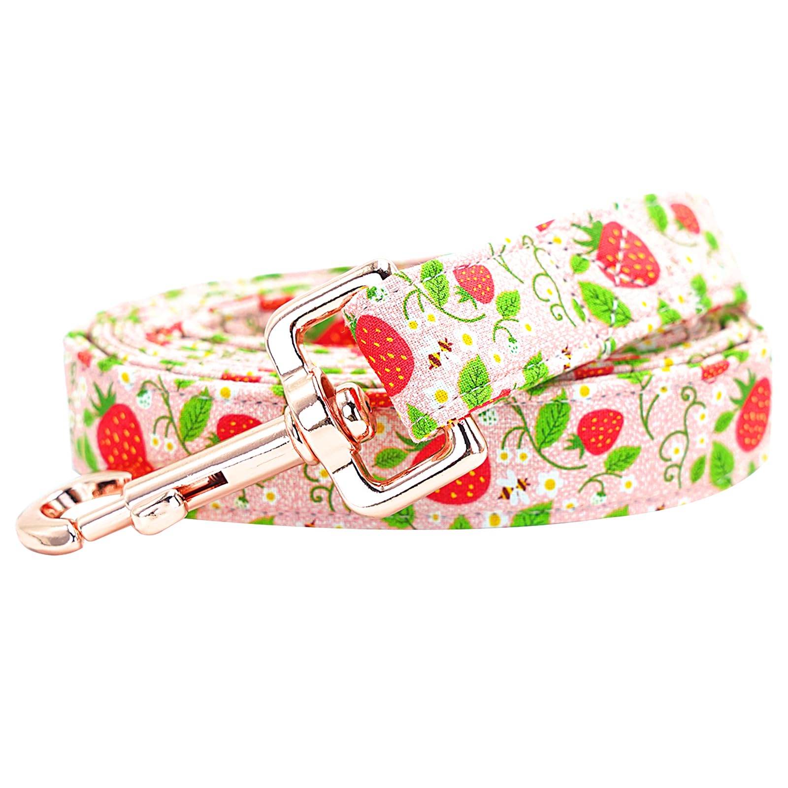 Bobo Rainbow Dog Leash - Pink Strawberry Print, Durable Heavy Duty, Comfortable Padded for Small to Large Dogs