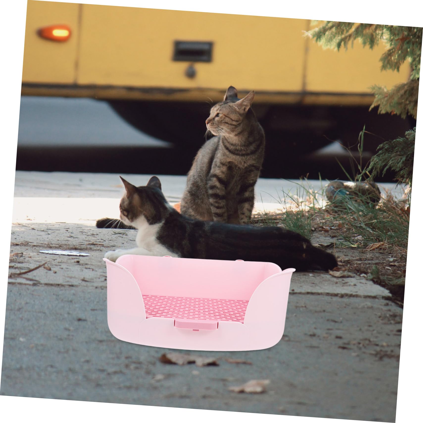 BESTonZON Lettiera per Animali per Conigli e Cavia Design Adatta e Ufficio per Addestramento e Comfort