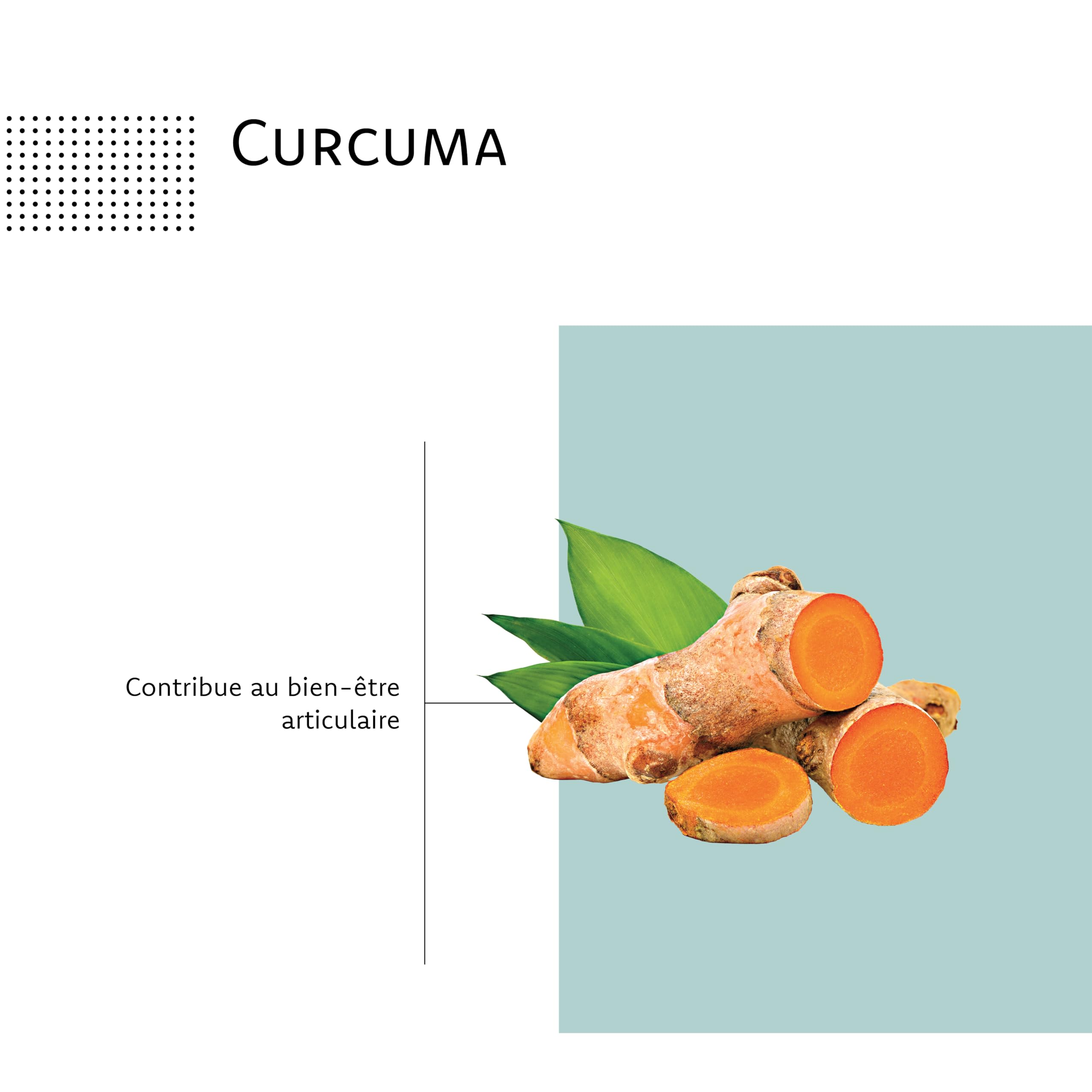ARAGAN | Synactifs Lot de 2 Flexactifs | Complément Alimentaire Bien-Etre Articulaire | Glucosamine, Harpagophytum, Curcuma, Eucalyptus et Zinc | 120 gélules | 2 mois prise | Fabriqué en France