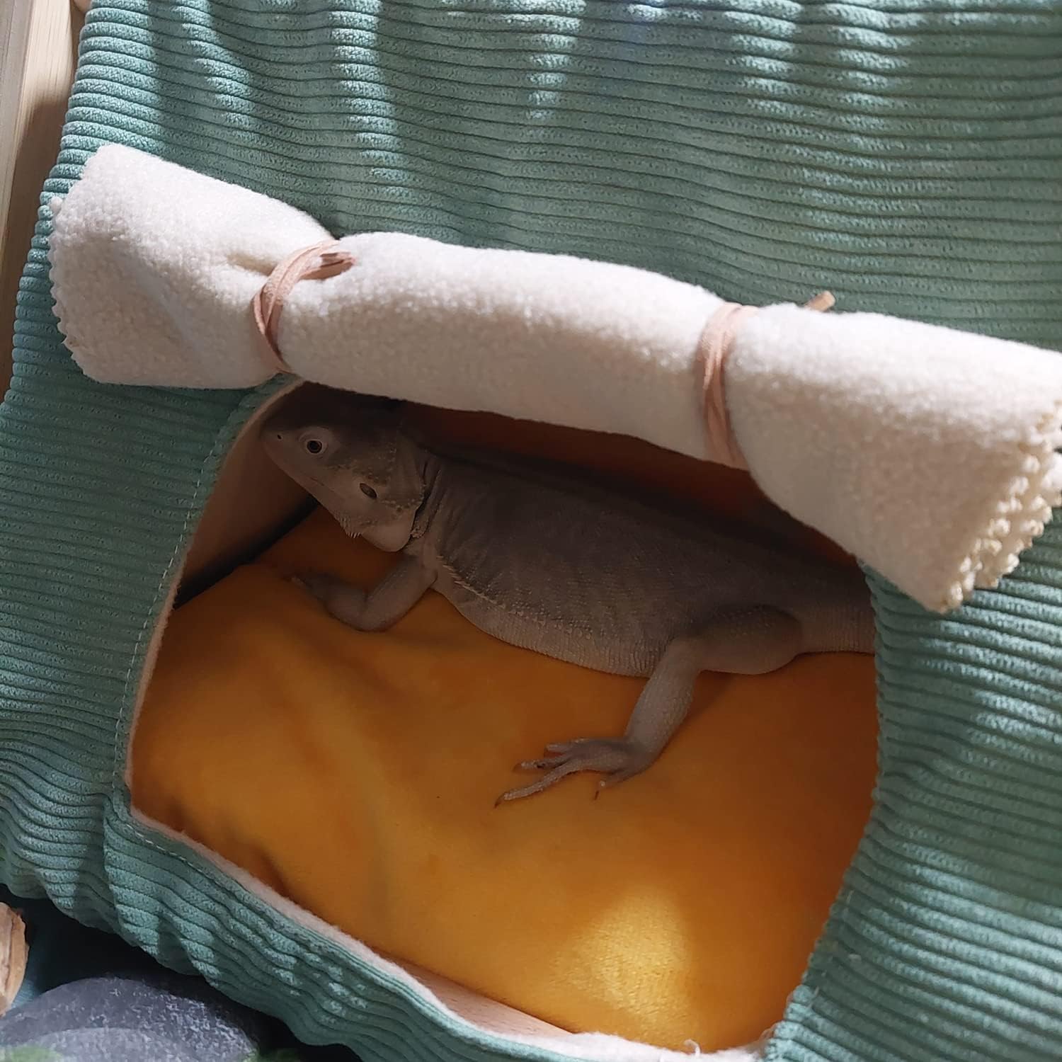 Ferret Wood Teepee Tent Cave Bed Warm House Habitat Hideout Nest Toys for Small Animal Hamster Sugar Glider Hedgehog Gerbil Rat Bearded Dragon Bird (Green)