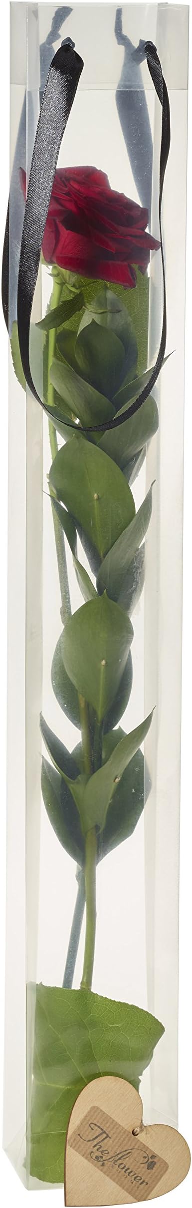 The Flower Rooms - Single Red Rose in Gift Bag - Flower Gift - Rose Gift Present - Rose Gift Set