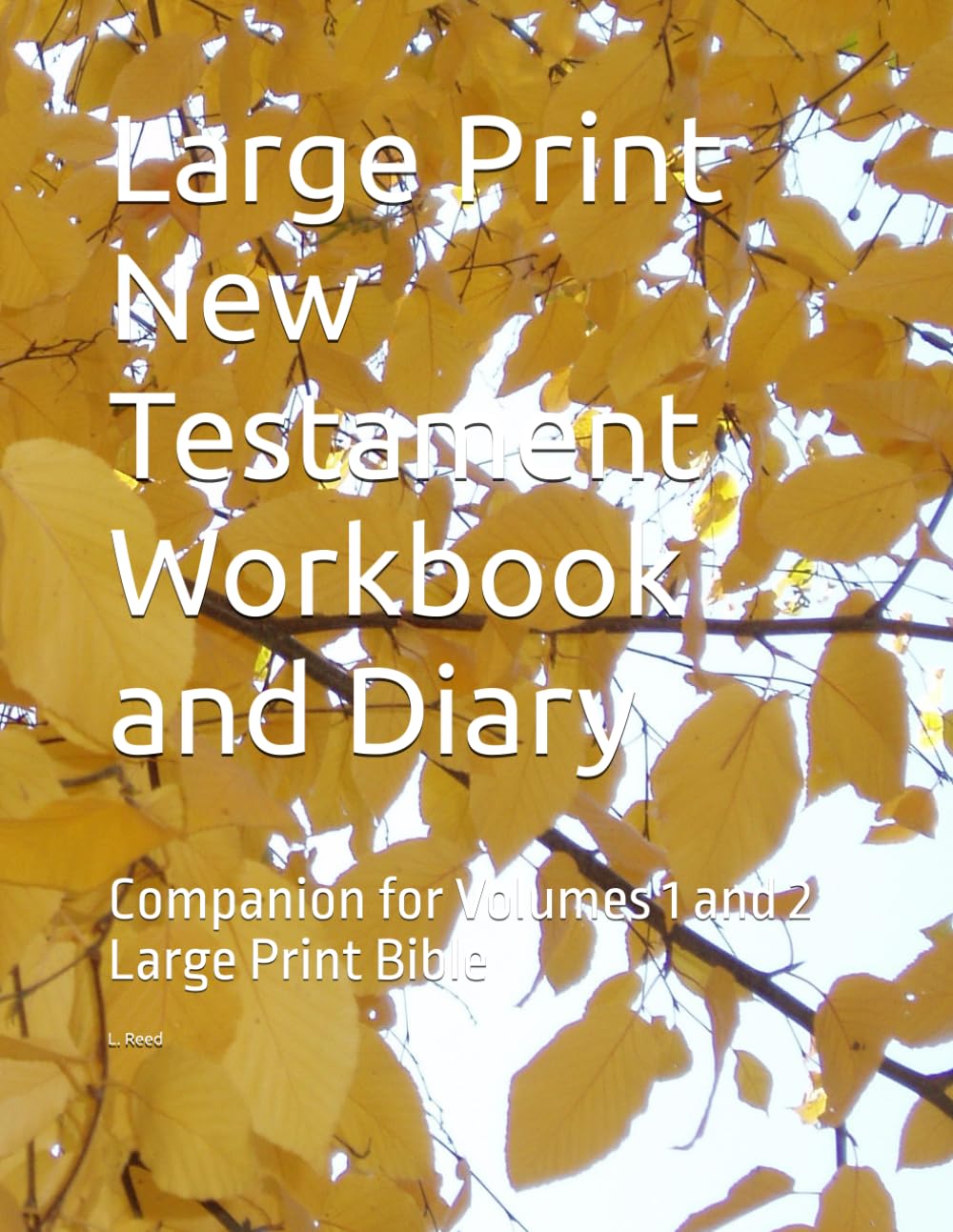 Large Print New Testament Workbook and Diary: Companion for Volumes1 and 2 Large Print Bible