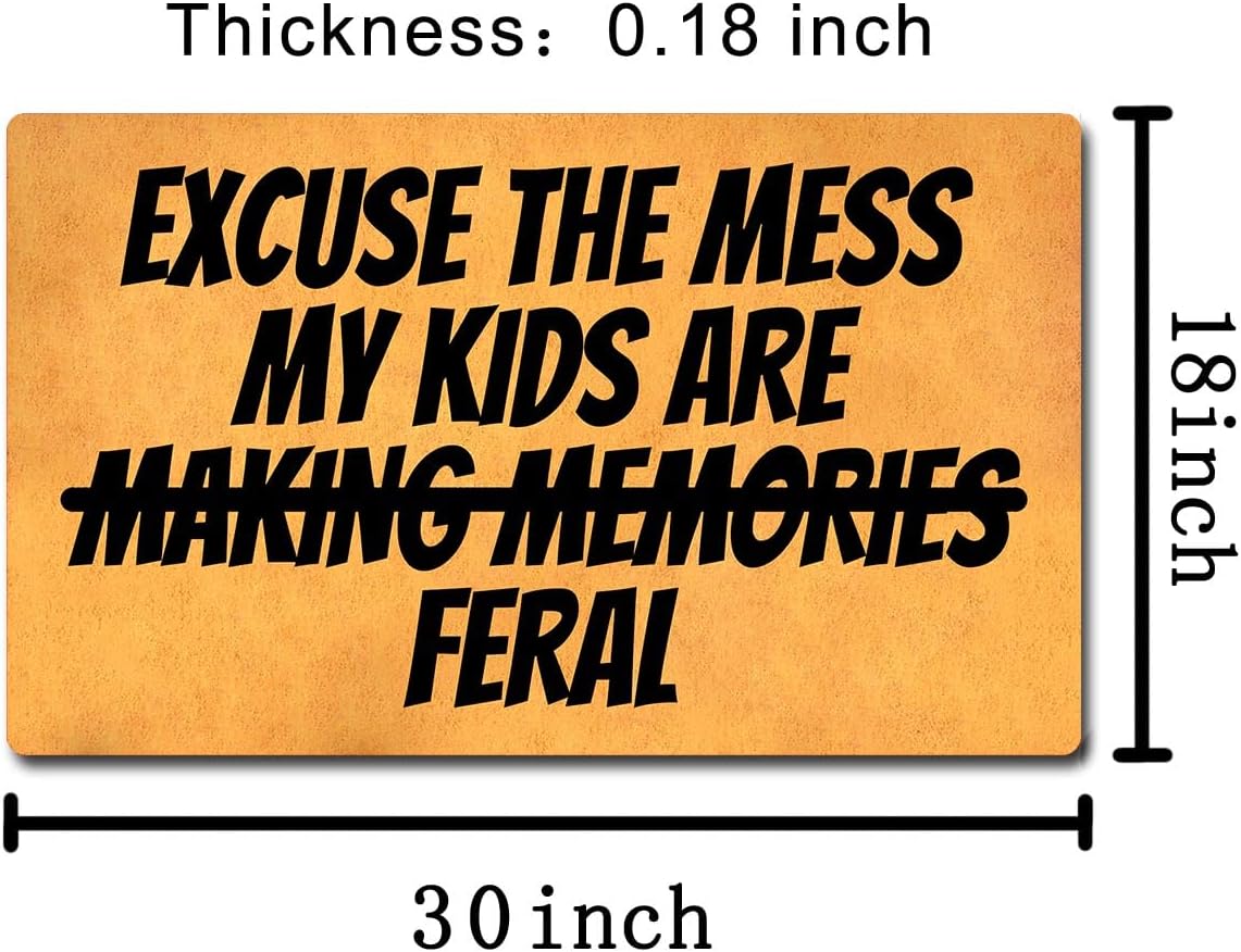 Funny Welcome Doormat 23.7x15.9 inch Front Door Entrance Way Indoor Decor Mats House Warming Gift Area Rugs (Excuse The Mess My Kids are Feral)
