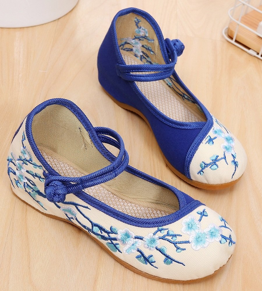 Tianrui Crown Girl's Embroidery Flat Ballet Shoes Kid's Cute Mary-Jane Dance Shoe Flat Sandal Shoe Blue