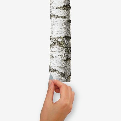 Miniatura 6 de RoomMates RMK3848GM Calcomanías de pared gigantes realistas de abedul para despegar y pegar