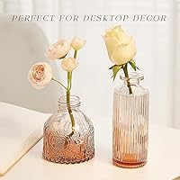 Vista 5 de Juego de jarrones de vidrio para brotes de 30 piezas, pequeños jarrones de flores, jarrones de vidrio para centros de mesa, jarrones de brotes