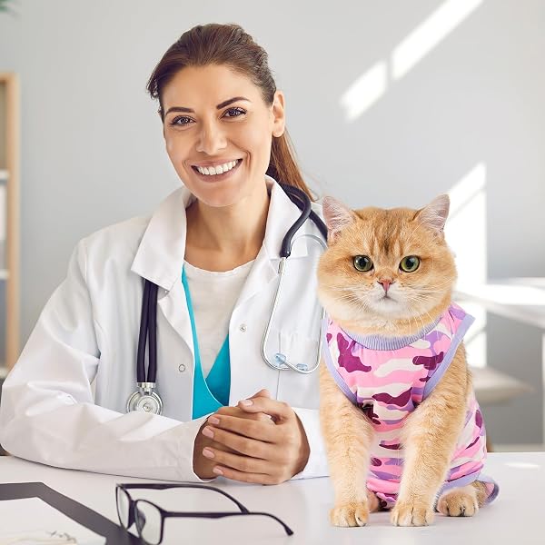 Avont Body Post Operatorio Gatto, Tutina Gatto Post Operatori Sterilizzazione, Cat Recovery Suit per Impedire Leccare Ferita Addominale Dopo l'intervento Chirurgico -Purplecamo(L) - 2