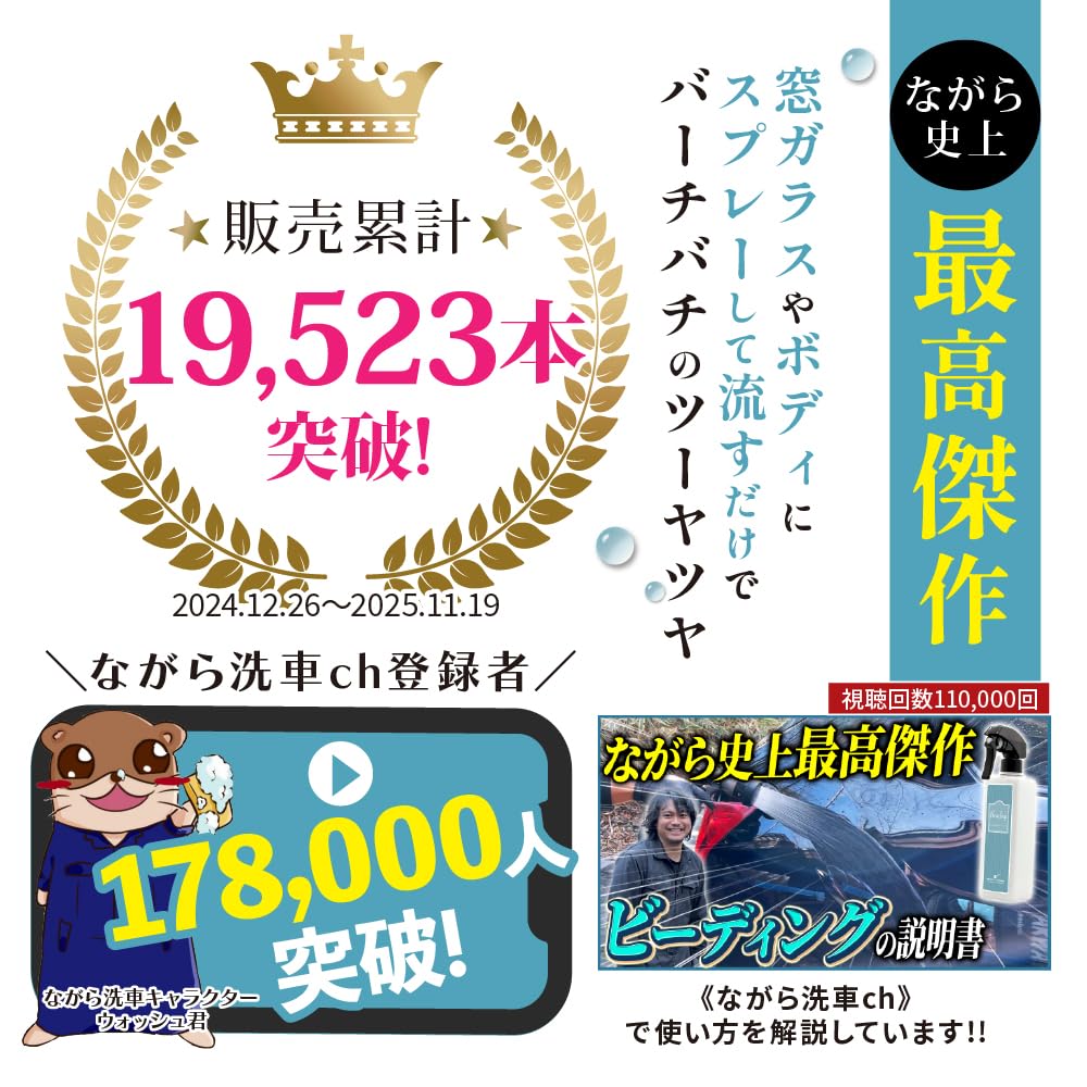 Amazon.co.jp: Beading Car Wash 33.8 fl oz (1,000 ml), Single Item