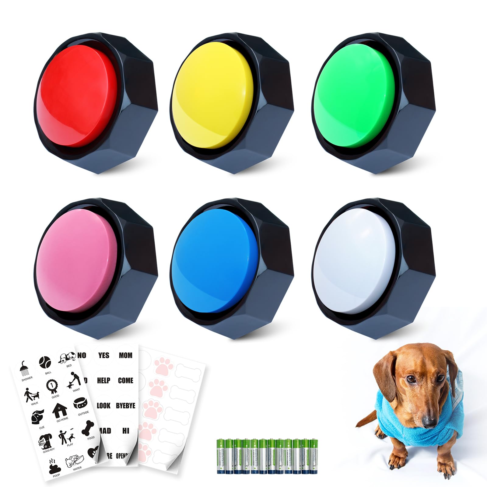 Bouton de dressage pour chien : communiquez facilement au quotidien avec lui