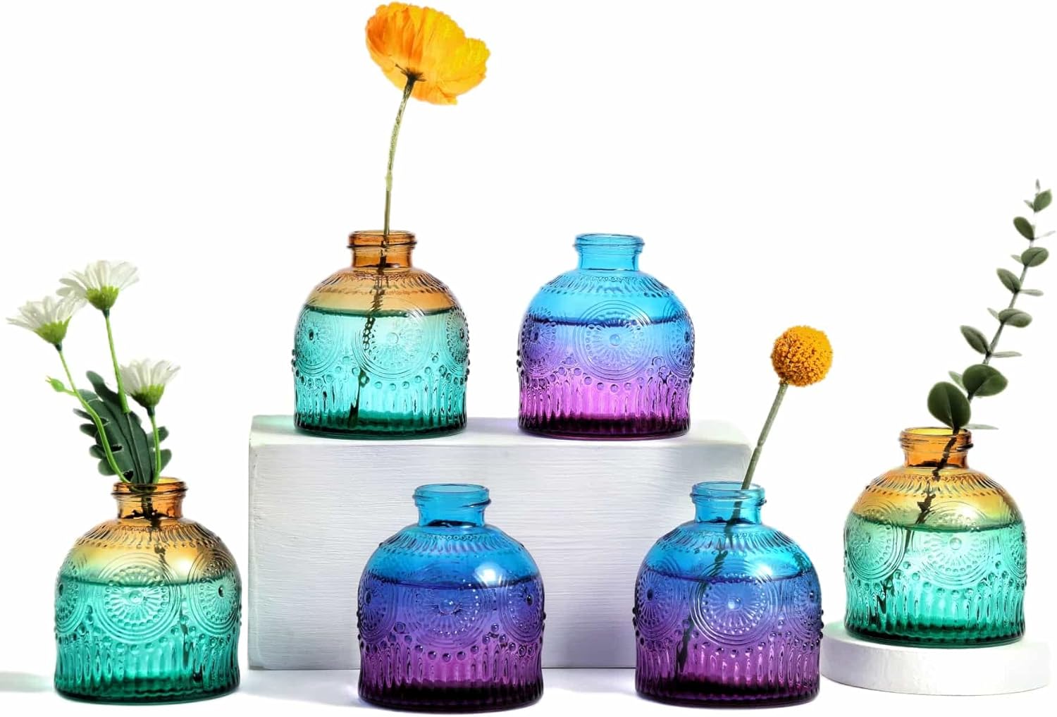 Eidoct Glass Bud Vases Set of 6, Glass Flower Vases Small Bottles for