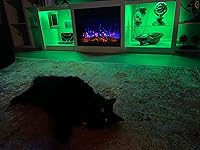 Review Image by TNiven