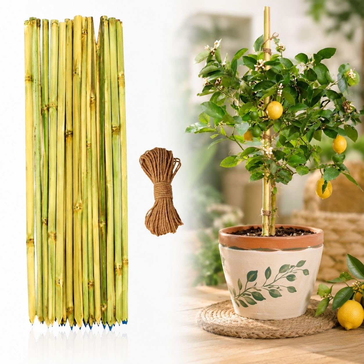 Bamboo Sticks for Plants Support 3 Feet (Set of 10 PCS), Plant Support Sticks for Indoor Plants, Natural Garden Stakes for Climbing Plants & Creepers, Strong Eco-Friendly Bamboo Support Rods-image-47