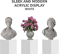 Vista 33 de Acrylic Display Riser Box Clear Plexiglass 12" x 12” x 19” No Lid Hollow Pedestal 5 Sided Display Trinkets Flowers Dust Cover Bin Collectible Items
