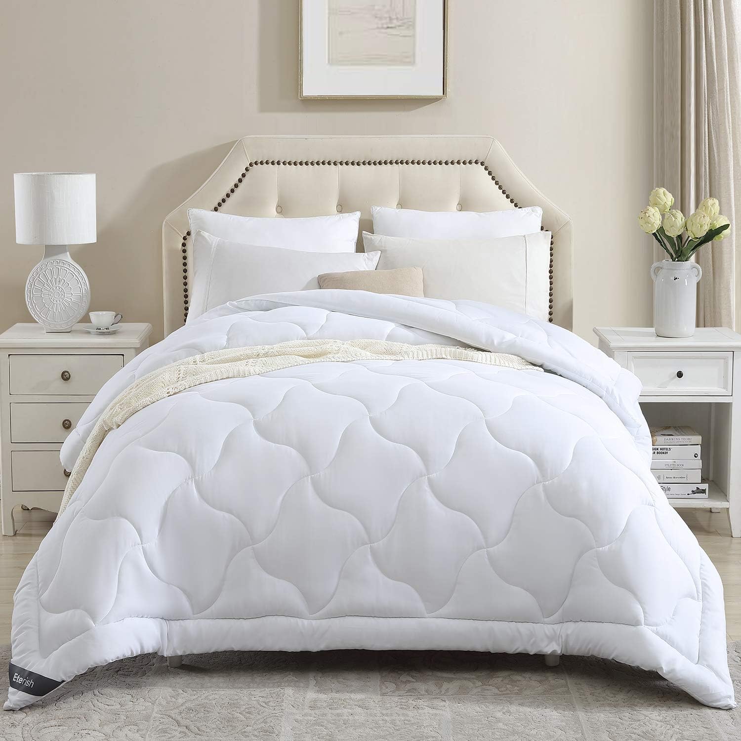 Eterish Comforters for Queen Bed, Quilted Down Alternative Comforter Queen All Season, Lightweight White Comforter Queen Duvet Insert with Corner Tabs, Microfiber Fill, Box Stitched