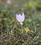 Review Image by Brandy Fortune Brandy Fortune