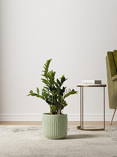 Miniatura 4 de LE TAUCI Juego de 3 macetas de cerámica estriada de 8.375.7 pulgadas, cilíndricas reactivas color verde salvia, macetas de interior con tapón de