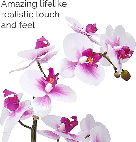 Miniatura 3 de Mikasa Orquídea artificial en maceta, orquídea Phalaenopsis de tacto real, maceta de cemento de hojas en relieve, rama doble de 22 pulgadas,