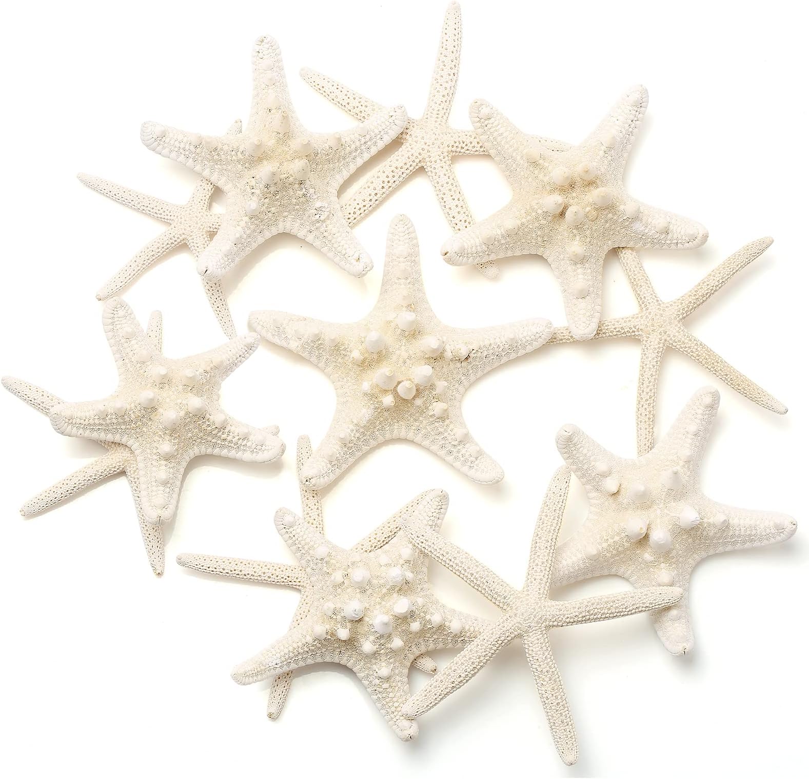12 PCS Starfish | 2.5-6 Inch Starfish Decor | Natural Bulk Starfish Shells Perfect for Crafts Making Beach Theme Party Wedding Decoration, Home Wall Decor, Christmas Ornaments, Fish Tank