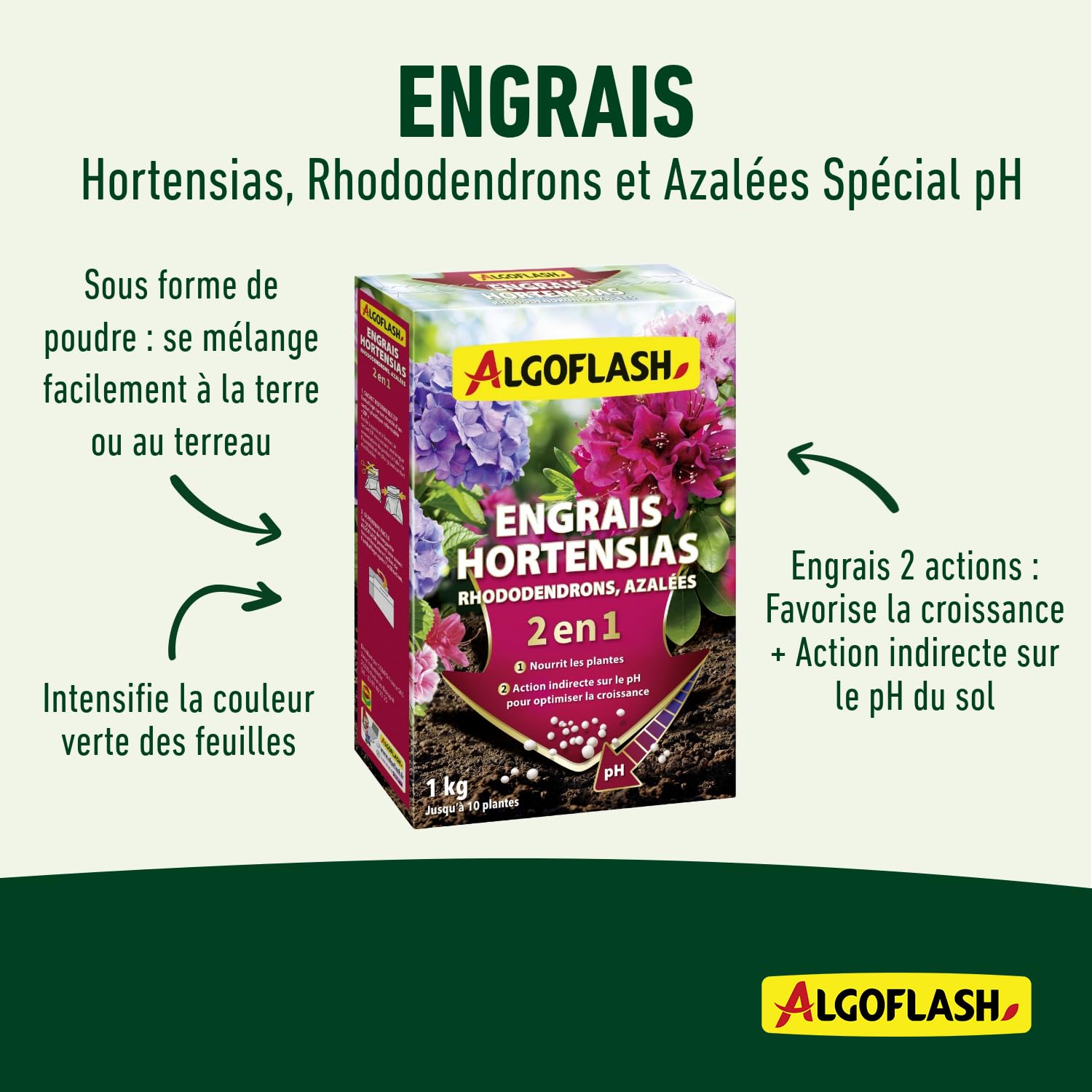 ALGOFLASH Engrais 2 en 1 pour Hortensias, Rhododendrons, Azalées Spécial pH, jusqu'à 10 Plantes, 1 kg, HORTOPH1N