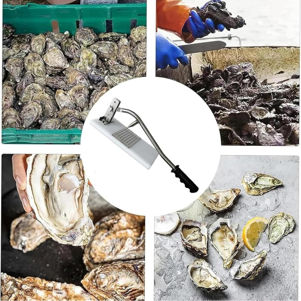 Professioneller Austernöffner – Tragbarer abnehmbarer Dosenöffner aus Edelstahl, ideal für Fischmarkt/Restaurant – Austern-Shucker + Bonus-Funktionen