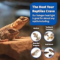 Vista 6 de Pangea Lámpara de calor halógena de 75 W para reptiles, luz UVA e infrarroja para tortugas, tortugas, dragones barbudos, accesorios de terrario