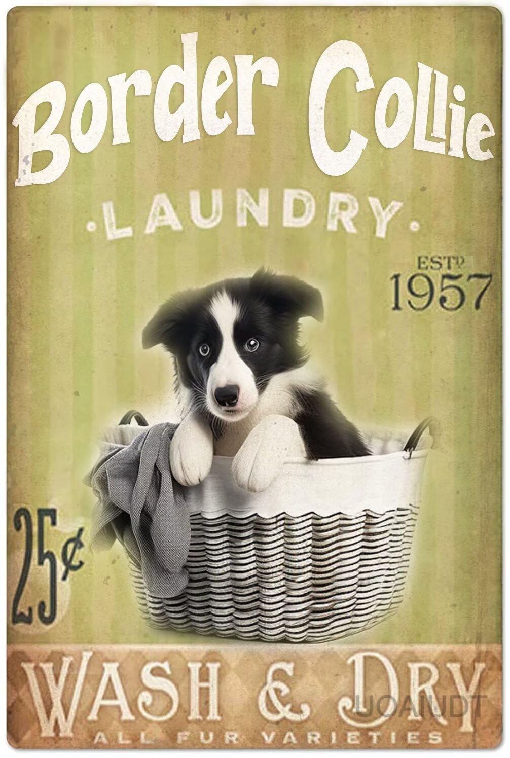 Anceky Laundry Sign Tin Sign Border Collie Laundry Basket Metal Poster Retro Plaque Border Collie Decor Vintage Wall Decor For Garden Men Cave Garage Living Room Cinema 12x16 Inch