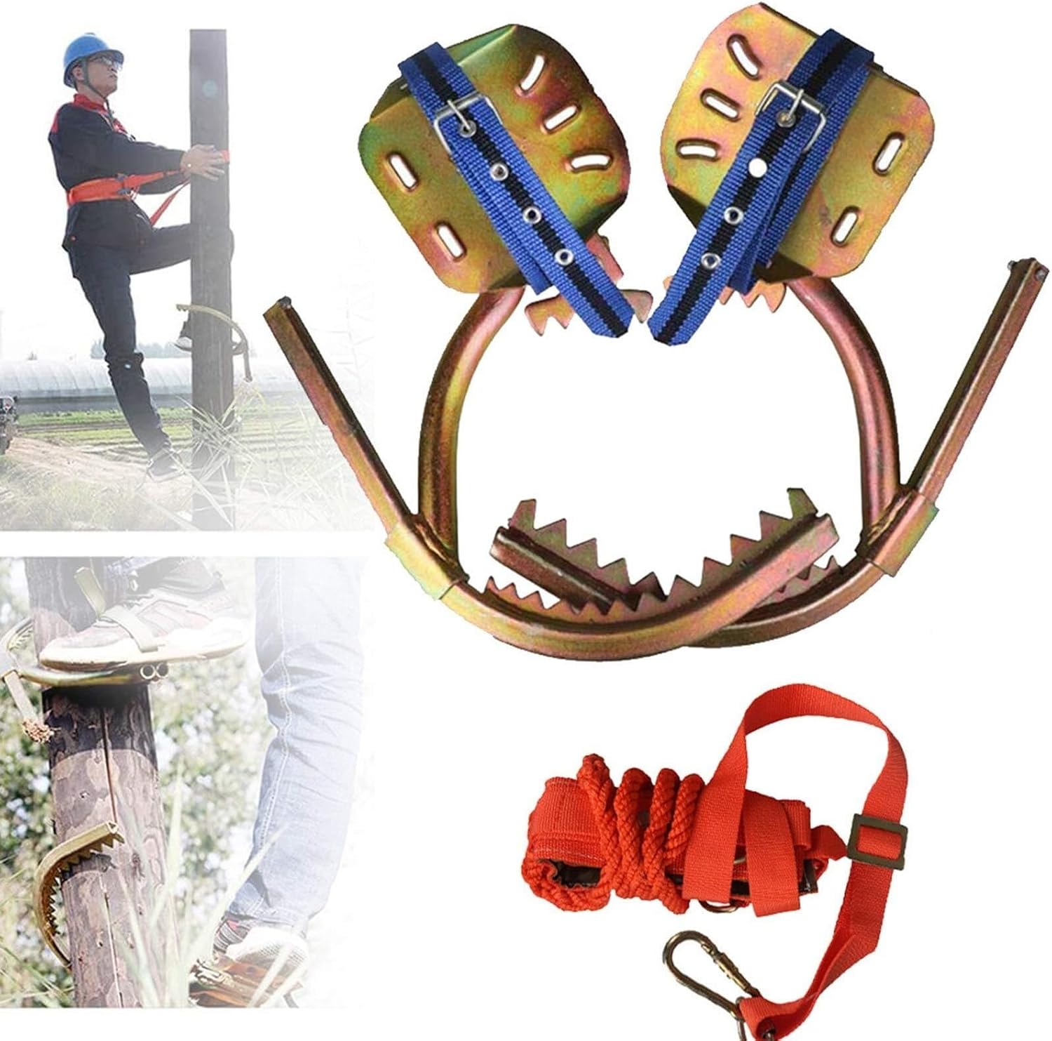 Adjustable Tree Climbing Spikes with ty Belt - Ultimate Climbing Gear for Hunting, Observation, and Fruit Picking (Model 450) - Durable, Comfortable, and Reliable