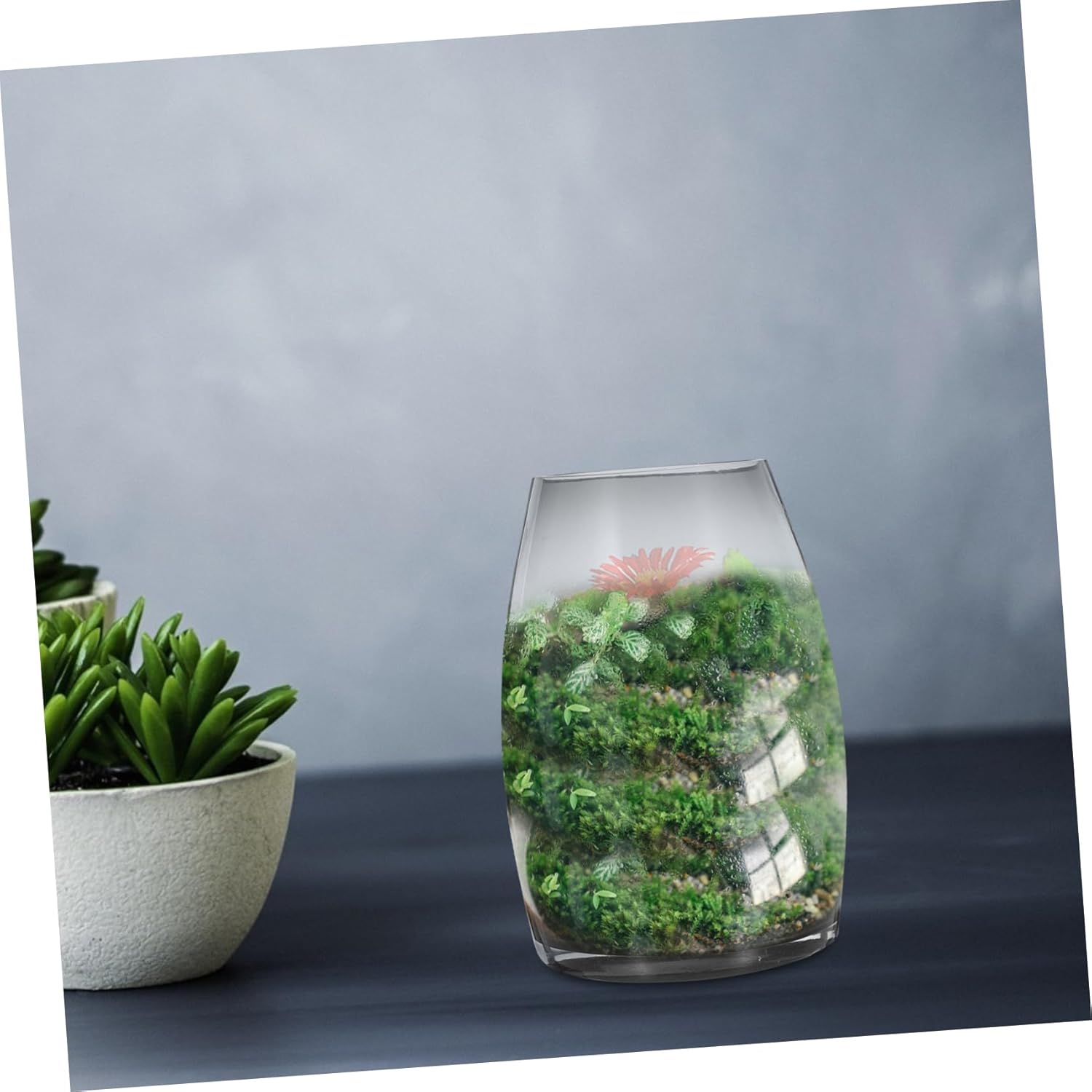 VICASKY Micro Landscape Glass Jar Moss Micro-Landscape Fern Moss Terrarium Container Betta Tank Desktop Glass Terrarium Modern