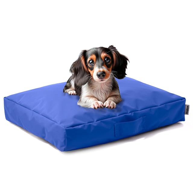 Avalon - Cojín para Perro Desenfundable y Lavable Pequeño en Tejido Jive Antidesgarro Premium, Anatómico…