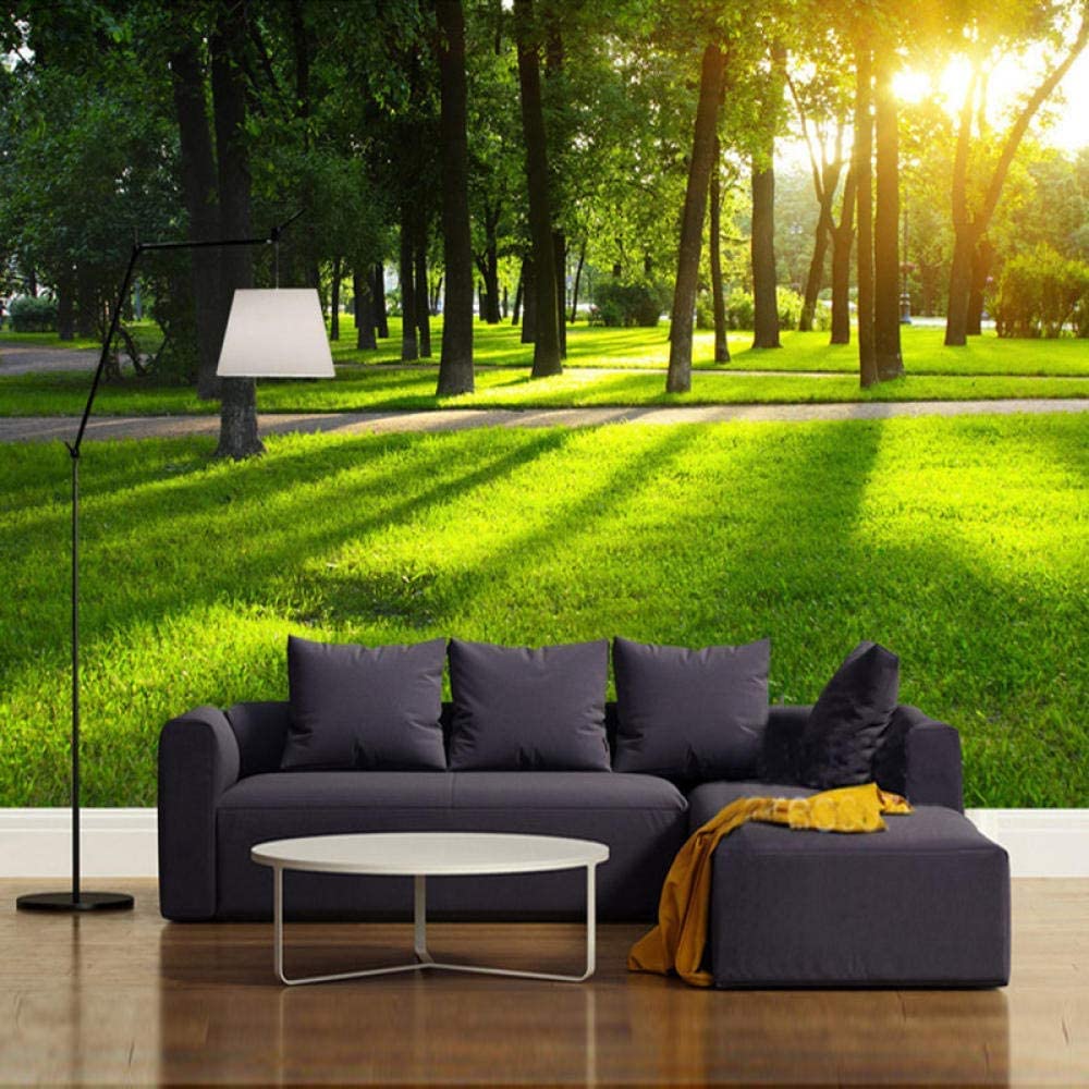 Decoración De Papel Para Sala De Estar Oficina Baño Personalizado Cualquier Tamaño Papel Pintado Mural 3D Parque Naturaleza Paisaje Sol Bosque Decoración De Pared Arte Mode200 x 150 cm (ancho x alto)