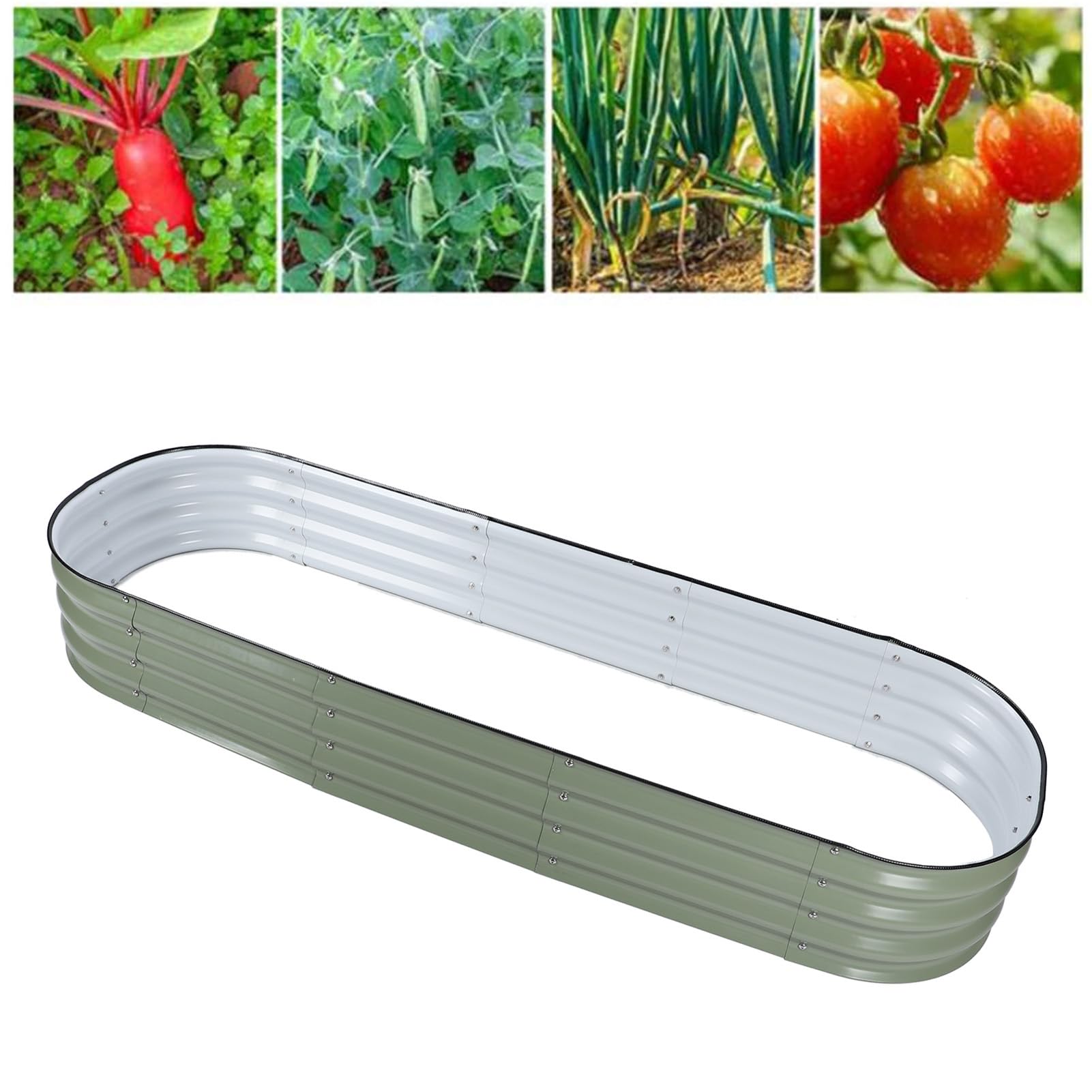 Kit Letto da Giardino Rialzato, Fioriera Rialzata in Metallo Resistente con Bordi Arrotondati Fai da Te Facile da Installare Spessore Maggiore per le Piante (Verde chiaro)