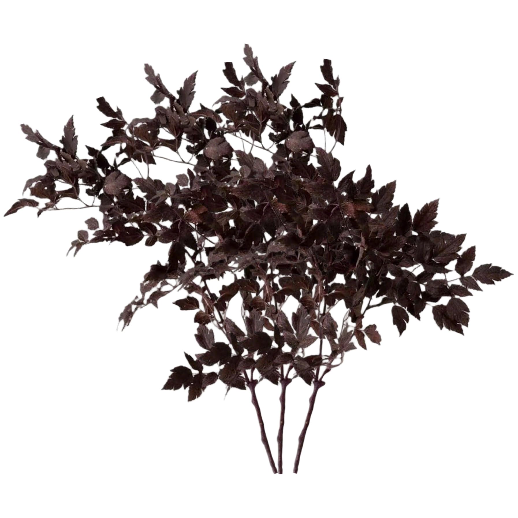 Ameble 3Pcs Cimicifuga 18 Inch Silk Faux Stems with Fall Leaf Faux Branches for Vase Fireplace Mantel Centerpieces Farmhouse Home Garden Wedding Halloween