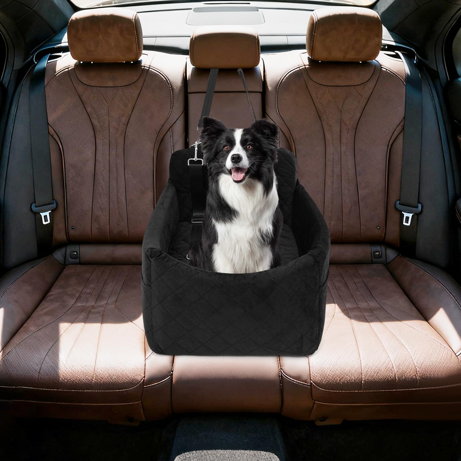 Asiento de coche para perros pequeños/medianos de menos de 15 kg, asiento de coche para mascotas desmontable y lavable, con 3 cinturones de seguridad y almohadilla, cama para perro, color negro