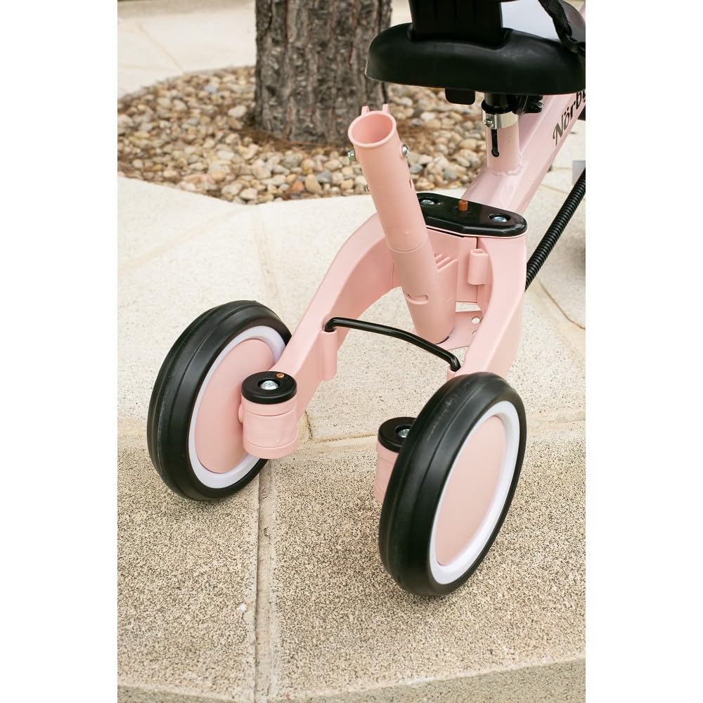 Interbaby - Triciclo "Norby" e Bici Evolutiva 5 in 1 con Capottina - 1-5 Anni