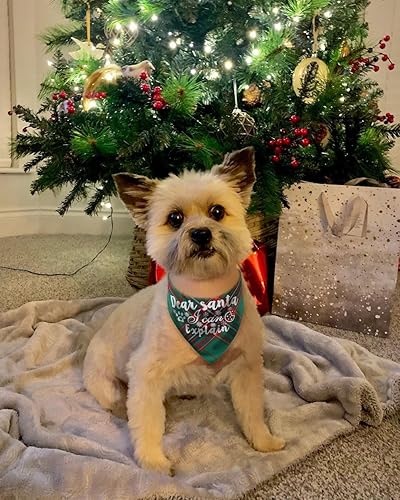 Miniatura 7 de Pañuelos navideños para perro, paquete de 6 bandanas para Halloween, otoño, Acción de Gracias, Navidad, para perro, decoraciones de disfraz de