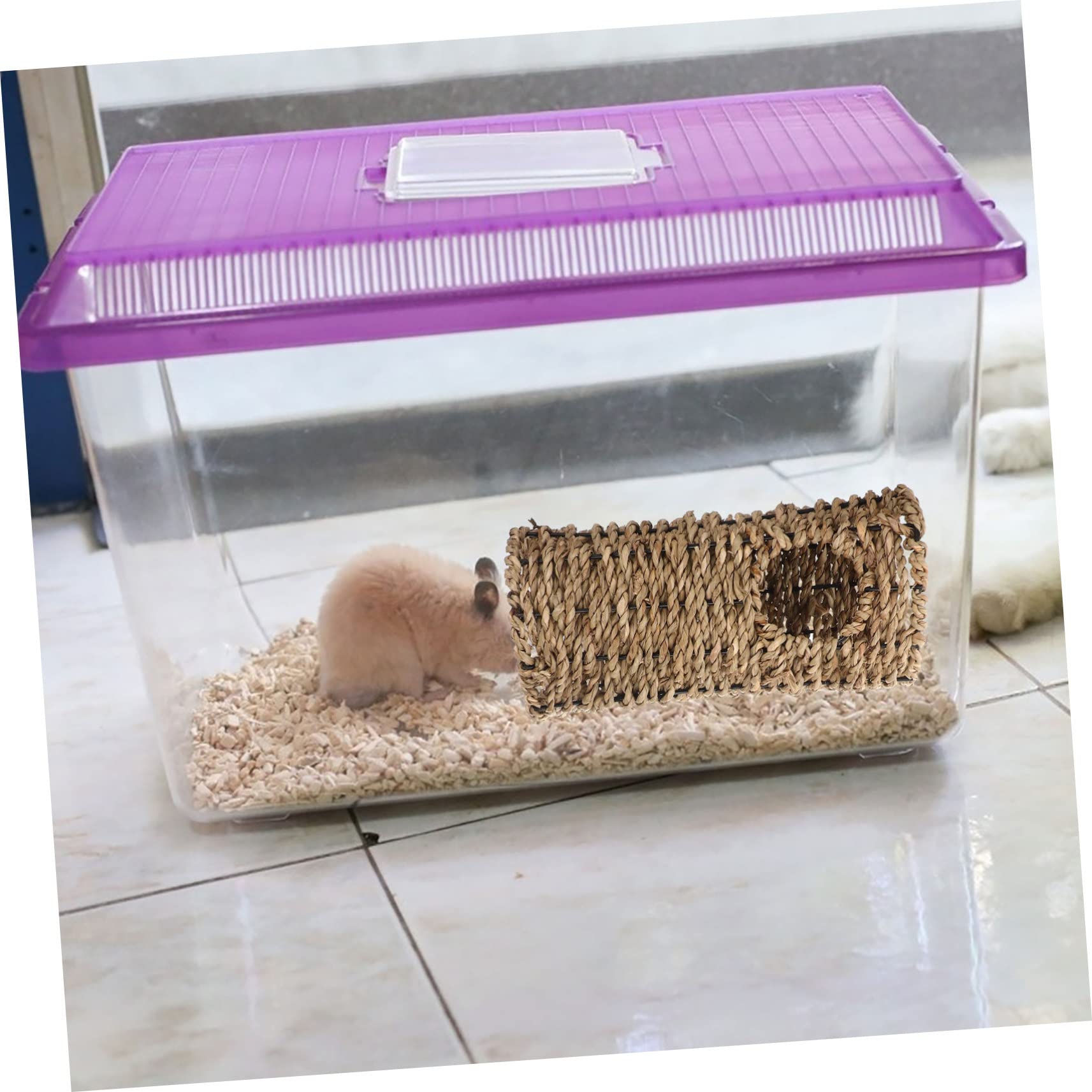 Housoutil 1set Giocattoli Da Masticare Per Criceti Conigli e Porcellini Naturale Per La Noia e Promuovere Gioco Sicuro Per Piccoli Animali Domestici