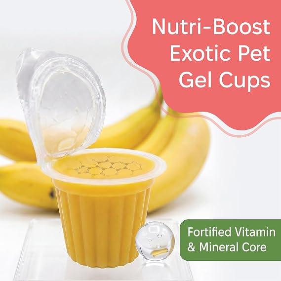 Snout & Shell Beetle Jelly 40-Pack | Nutrient-Rich Banana Feeding Gel Cups