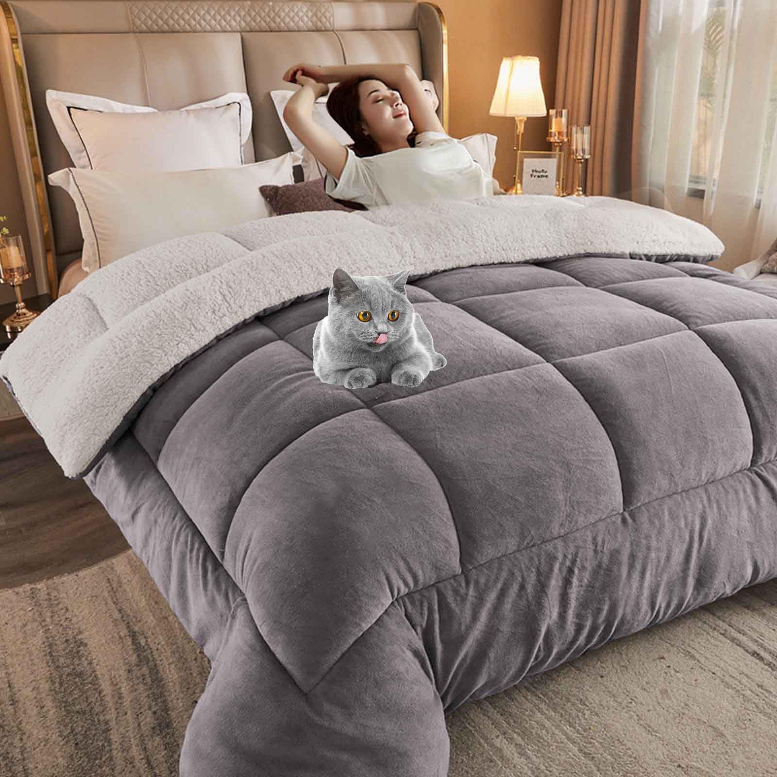 HLTQL Quilt Winter Lamb Velvet King,Thicken Winter Warm Lamb Velvet Comforter,Winter Duvet, Super Soft Warm Lamb Wool Quilt,Suitable for Autumn Winter(01,Pillowcase) — image 1