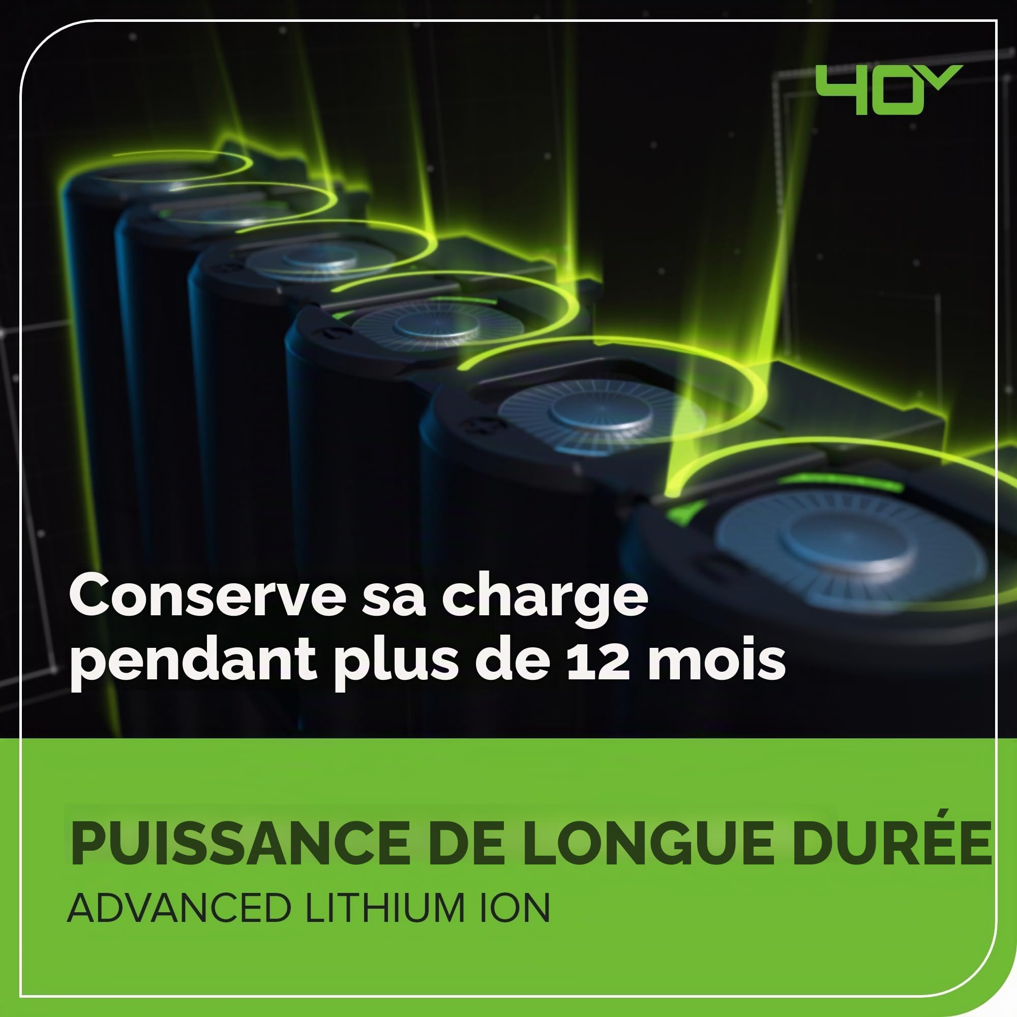 Greenworks GD40BV 40V Aspirateur Souffleur Sans Fil Sans Balais 280 km/h 9,63 m³/min Sac Mulching 45L