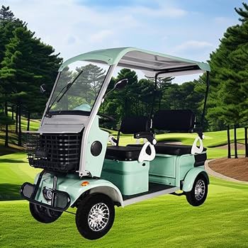 Amazon.com: HAOWEIH 4-Passenger Electric Golf Cart & Scooter for
