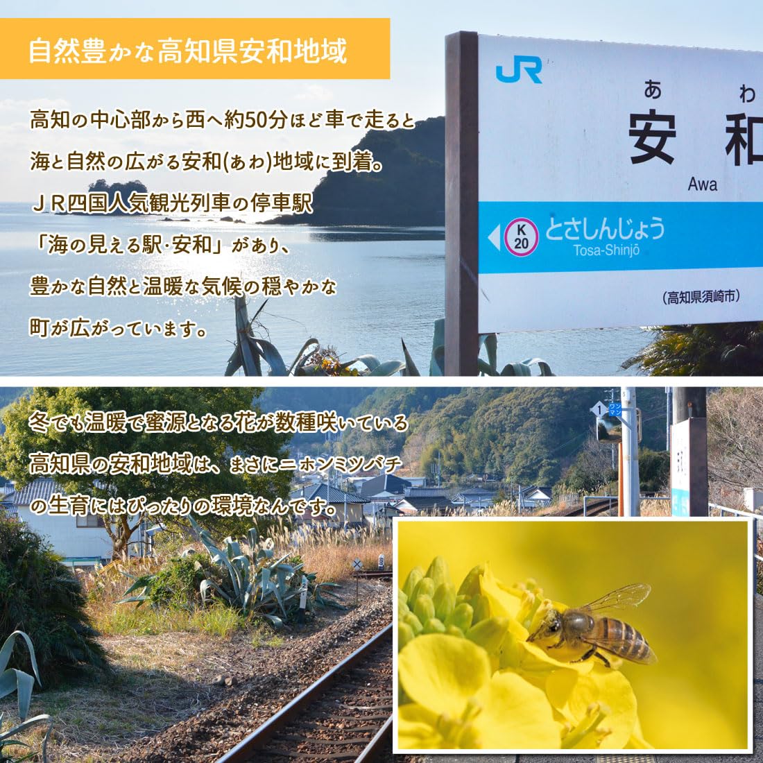 Amazon | 土佐の旨味市場 日本ミツバチ 蜂蜜 300g 安和 奥四万十産