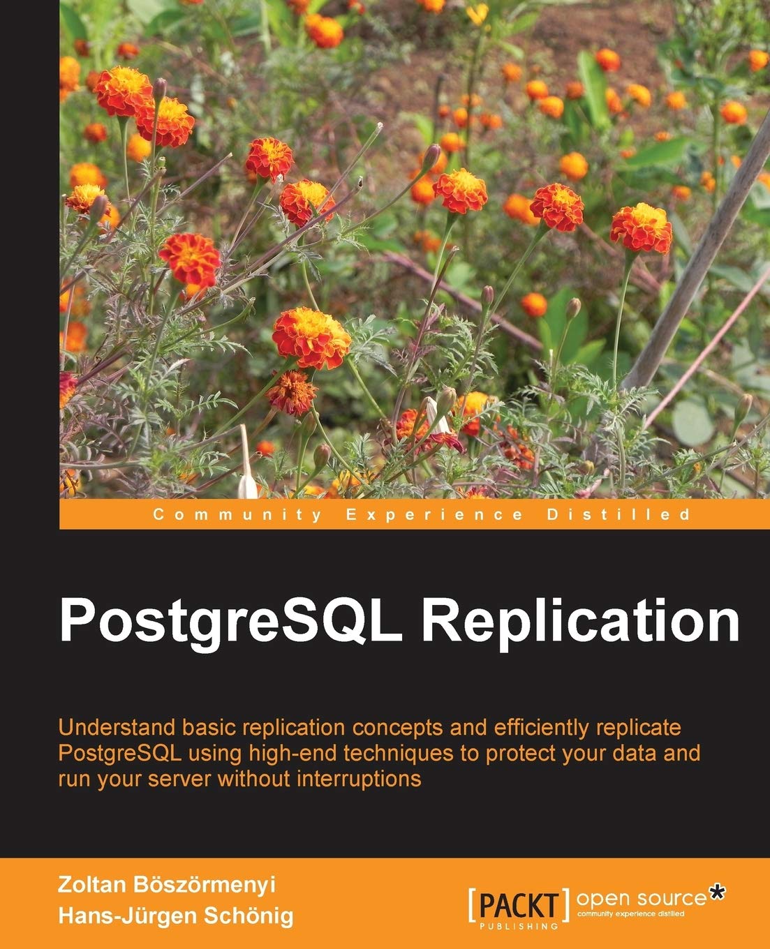 PostgreSQL Replication: Understand Basic Replication Concepts and Efficiently Replicate PostgreSQL Using High-End Techniques to Protect Your Data and Run Your Server Without Interruptions