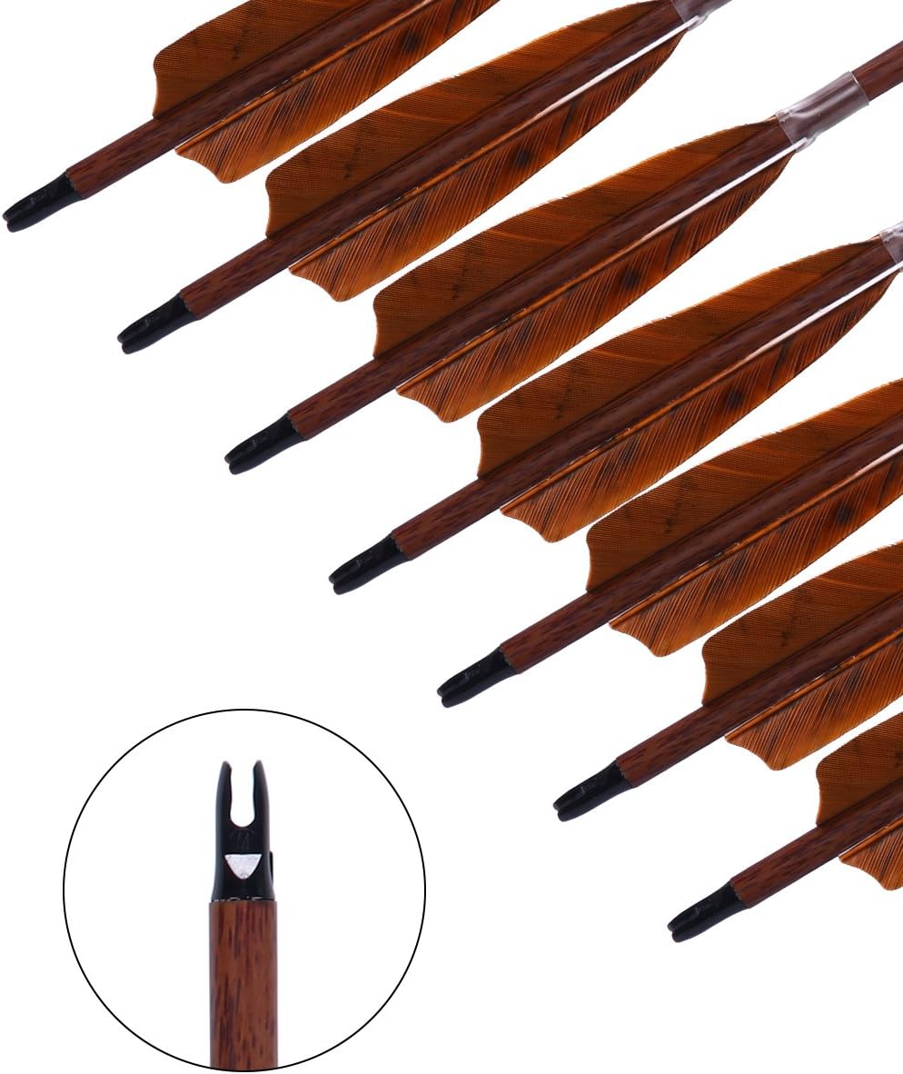 PANDARUS Archery 31-Inch Carbon Hunting Arrows, 4-Inch Turkey Feather Fletching with Replaceable Points, Targeting Practice Arrows Spine 500 for Recurve & Traditional Bows (12 Pack) : Sports & Outdoors